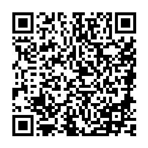 嘘……那位大小姐的前胸可是被马咬过呢……想必现在还留着那痕迹……二维码生成
