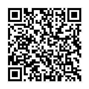 嘴上叼着棒棒糖的乐南倒是没有任何以外的表情二维码生成