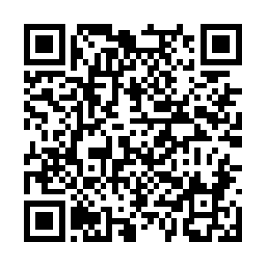 器灵化形而成的本体那张树皮一样的脸忽然不见了二维码生成