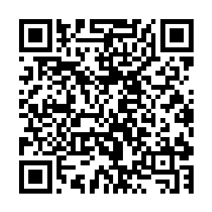 四哥的指头点在了站在最前方挡在第一位的一名黑衣保镖胸口二维码生成