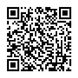 四大宗主的联手一击和对面的那个拳头碰撞在了一起二维码生成