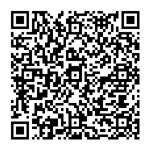 四大家族的亲自派出了各自的当家人追随者左功柳等三个人在加上其他一些华人领袖亲自前来拜见二维码生成