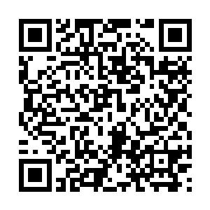 四宗宗主一定会让给自己一次进入密洞修炼的机会二维码生成