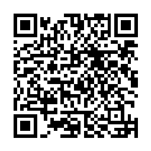 四象琉璃火所化的火龙已经狂暴的撞击在精神壁垒之上了二维码生成