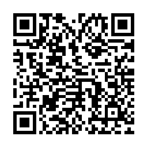 回到竹林后还是老老实实当做什么事情也没发生给苗毅做了一份二维码生成