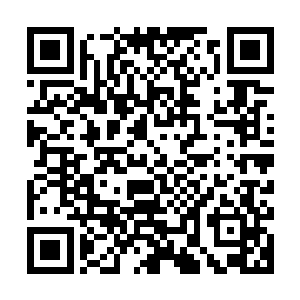 回去还要给老校长做饭呢――你不就是想找个人陪你看演奏会吗二维码生成