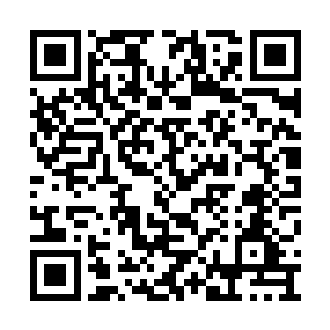 回头看去确是一名武者被一头灵兽狠狠的撕碎了二维码生成