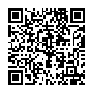 回想几年前她用轮椅推着生病的妈妈在东森大学校园里散步二维码生成