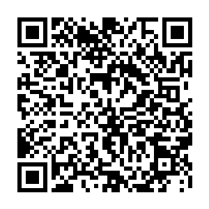 回想起刚才雨果因为不适应绿屏演技而专注地从各个方面去丰富自己的知识二维码生成