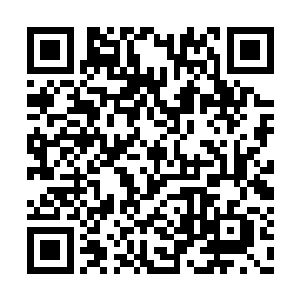 回想起自己和叶莫在古苍龙族迎客厅发生的一幕二维码生成