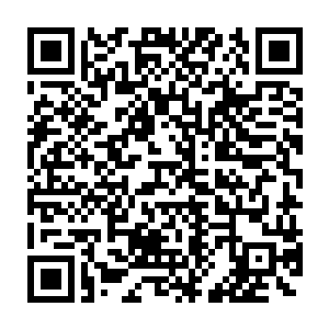 回来母星方舟里可以觉醒智慧……但没有经过方舟回炉时自行觉醒二维码生成