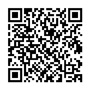 因为…东皇大陆很多潜伏在罪岛的商贾本身就是九帝家族的人二维码生成