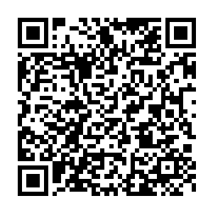 因为一枚小小的织炎噬血丹而被青莲公主惦记着的叶然对此浑然不觉二维码生成