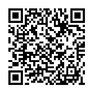 因为上次墨已经帮夏天对金刀进行了一定的激活二维码生成