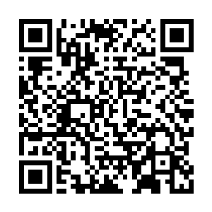 因为两人完全无法感应到江逸的任何气息和情况二维码生成