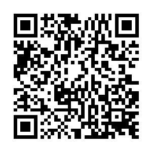 因为五行虫最可怕的地方不仅仅是在于那无物不噬的特性二维码生成