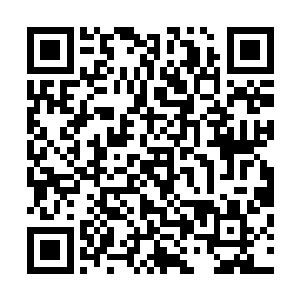 因为从战斗一开始到现在战斗结束仅仅不到一个小时的时间二维码生成