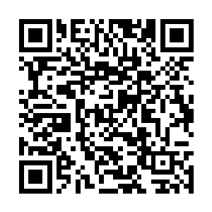 因为他与侯博望教授约定创作古文小说的时限到了二维码生成