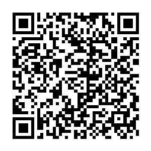 因为他们不理解为什么失去记忆的老大对待他们的态度是那么的疏离二维码生成