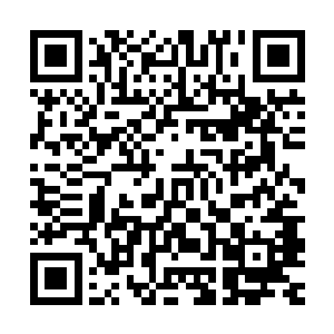 因为他们从地上的那些僵硬的人身上感觉不到丝毫的活人的生气二维码生成