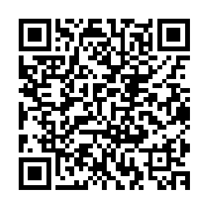 因为他们只要动了起飞的念头下面的索桥就开始了剧烈的晃动二维码生成