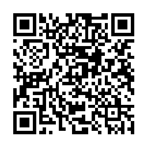 因为他们感觉到在教皇的气势中他们是如此的渺小二维码生成