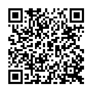 因为他们没有想到秦宇竟然敢这么对待一位仙王强者二维码生成