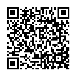因为他们潜意识里面并不认为林封谨能召唤出来这样凶残的邪物二维码生成