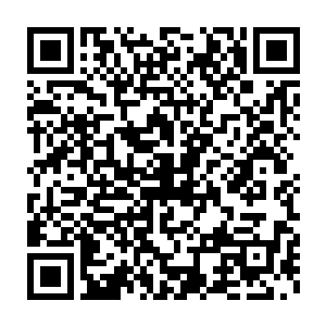 因为他们现在也全都看出来了……这位肯定就是传说的听骰高手了二维码生成