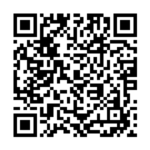 因为他们的修为也就是在宗王四重与宗王五重的水平二维码生成