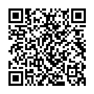 因为他们知道李政说这么多只是为了给这长尾黑寡妇增加身价二维码生成