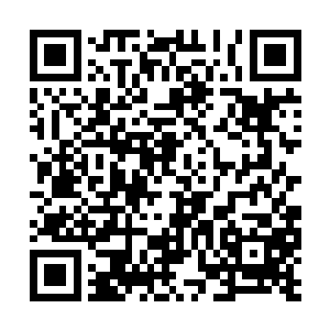 因为他们被鼓吹这样的死亡就是去供奉自己的信仰二维码生成