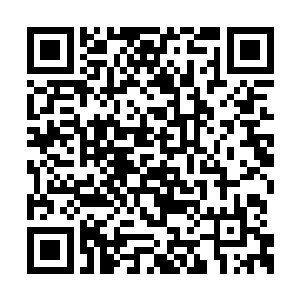 因为他们说这里出现过一件可以增强修为的灵宝二维码生成