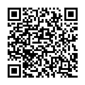 因为他们谁也不知道什么时候其他几家的人会继续攻过来二维码生成