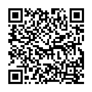 因为他们都明白八歧大蛇的这种攻击时持续不了多久的二维码生成