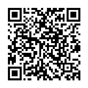因为他发现自己的指法和对琴道的理解突然提高了整整一个档次二维码生成