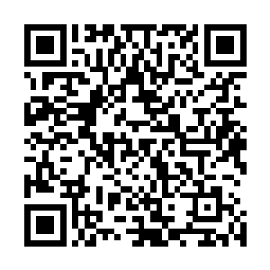 因为他埋伏在炼器城外面矿山和五柳山的修士已经向他汇报二维码生成