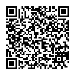 因为他始终没有真正深入了解他们的现状――在1997年当下的现状二维码生成