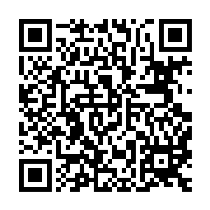 因为他宁愿看到其他任何人此刻站在这擂台上也不愿意看到秦宇二维码生成