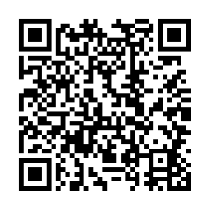 因为他实在长了一张温润得如同白玉一般讨喜的脸二维码生成