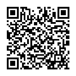 因为他总算是完成了这样一个艰难的炼药之旅了二维码生成