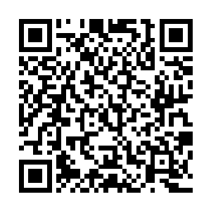 因为他曾经不止一次看到过这两人在他面前痛快淋漓的打人二维码生成