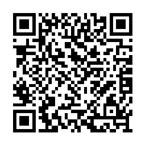 因为他的脚底下有刚才他所布置的一个一级阵法二维码生成