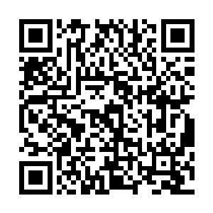 因为他眼看就要接到那奖励丰厚的主线任务黑暗国王的统治二维码生成