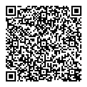 因为他突然想到了自己在对那个冒牌的罗伯托·卡洛斯之前曾经幻想过在皇家马德里的罗伯托·卡洛斯应该是什么样子的二维码生成