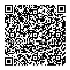 因为任谁也想不到需要到达b级才能够施展的九字真言临字诀居然被吴虎臣这么一个刚刚踏进c级领域没有多久的家伙给施展了出来二维码生成