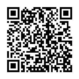 因为公司在这家便捷酒店里能够拿到最合适的协议价二维码生成