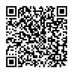 因为几艘仿佛还来不及走的绯红之虎海盗船已经出现在她的视野边际二维码生成