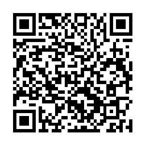因为凭我们加上你们的实力救出费尔福尔曼也并不容易二维码生成