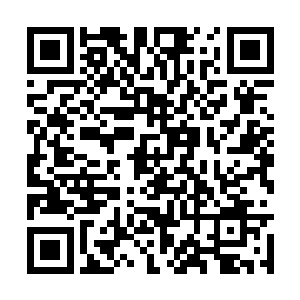 因为刚才凡是对他们出手的人几乎没有一个活着的二维码生成